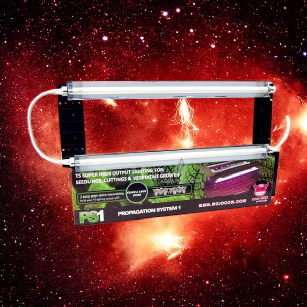 Mojo Cow PS1 Light Kit