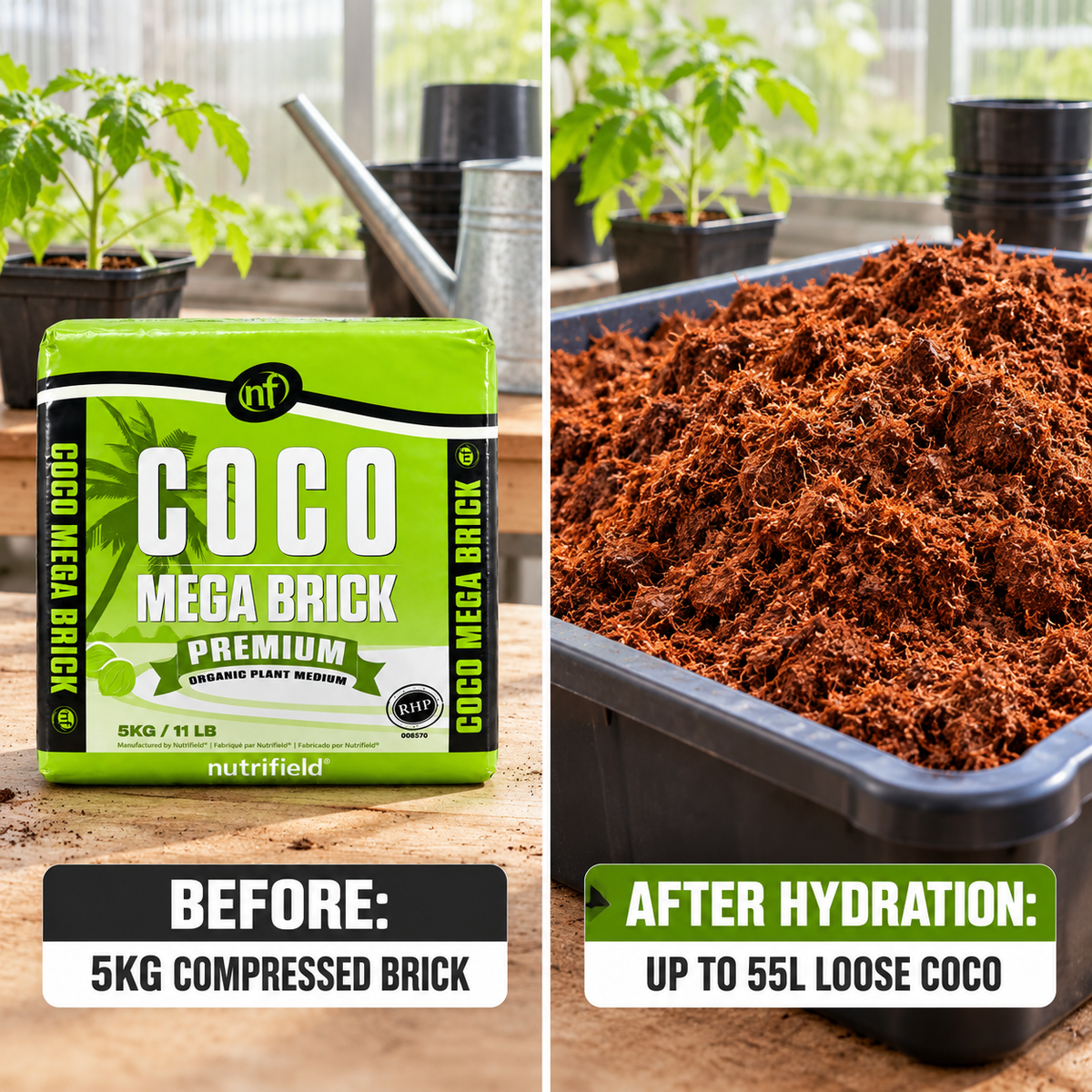 AI-created before-and-after hydration comparison showing the Nutrifield 5KG compressed coco brick expanding into loose coco coir.