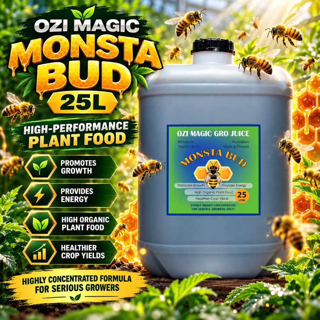 Ozi Magic Monsta Bud: Flower & Bud Booster Guide