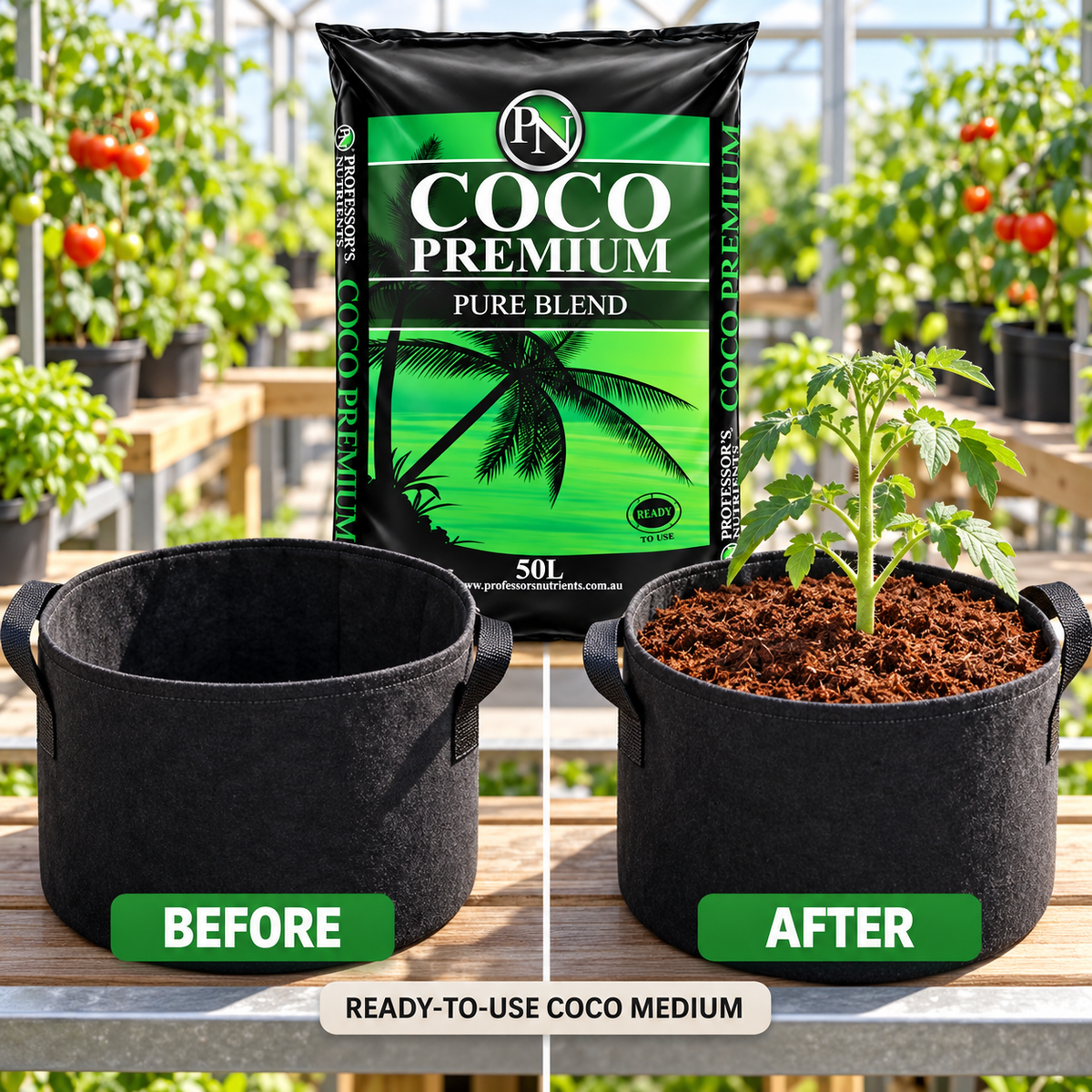 AI-created setup comparison showing an empty container and one filled with coco medium and a tomato seedling.