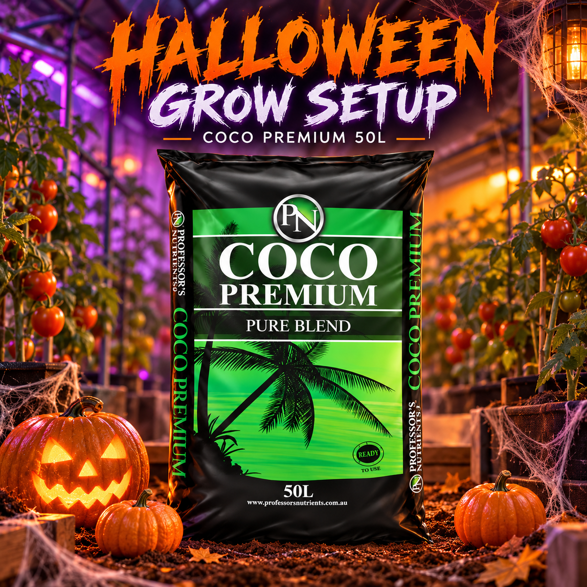 AI-created Halloween hero featuring the Professor's Coco Premium 50L bag with pumpkins, cobwebs and tomato plants.