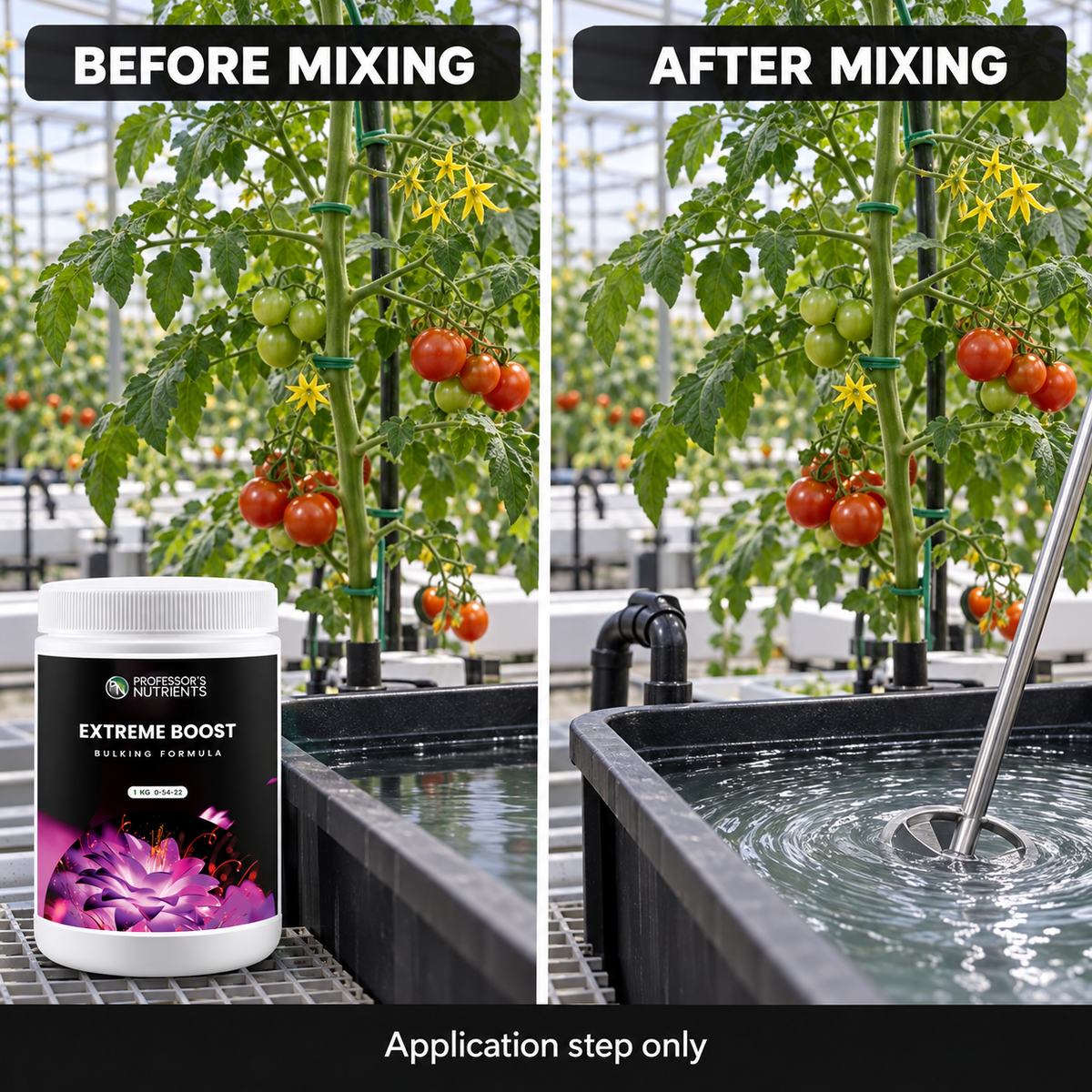 Before-and-after mixing setup showing the same flowering tomato plant and reservoir before and after PROFESSORS EXTREME BOOST is added; application step only.