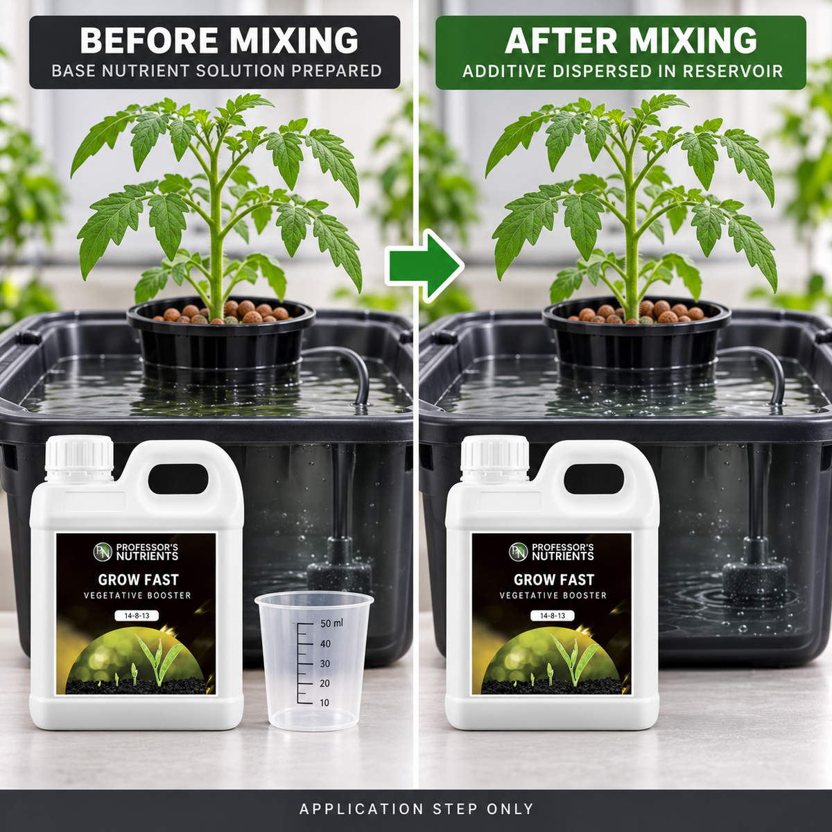 Before-and-after mixing setup showing the same young tomato plant and reservoir before and after PROFESSORS GROW FAST is dispersed; application step only.