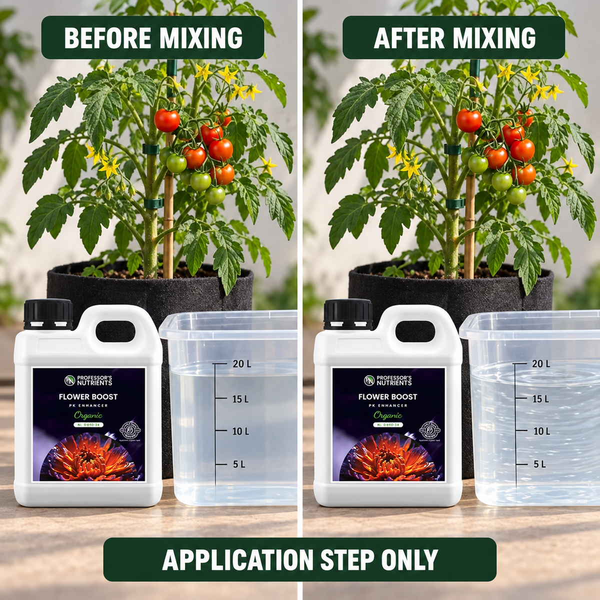 Before-and-after application setup showing the same flowering tomato plant and reservoir before and after PROFESSORS ORGANIC FLOWER BOOST is mixed; application step only.