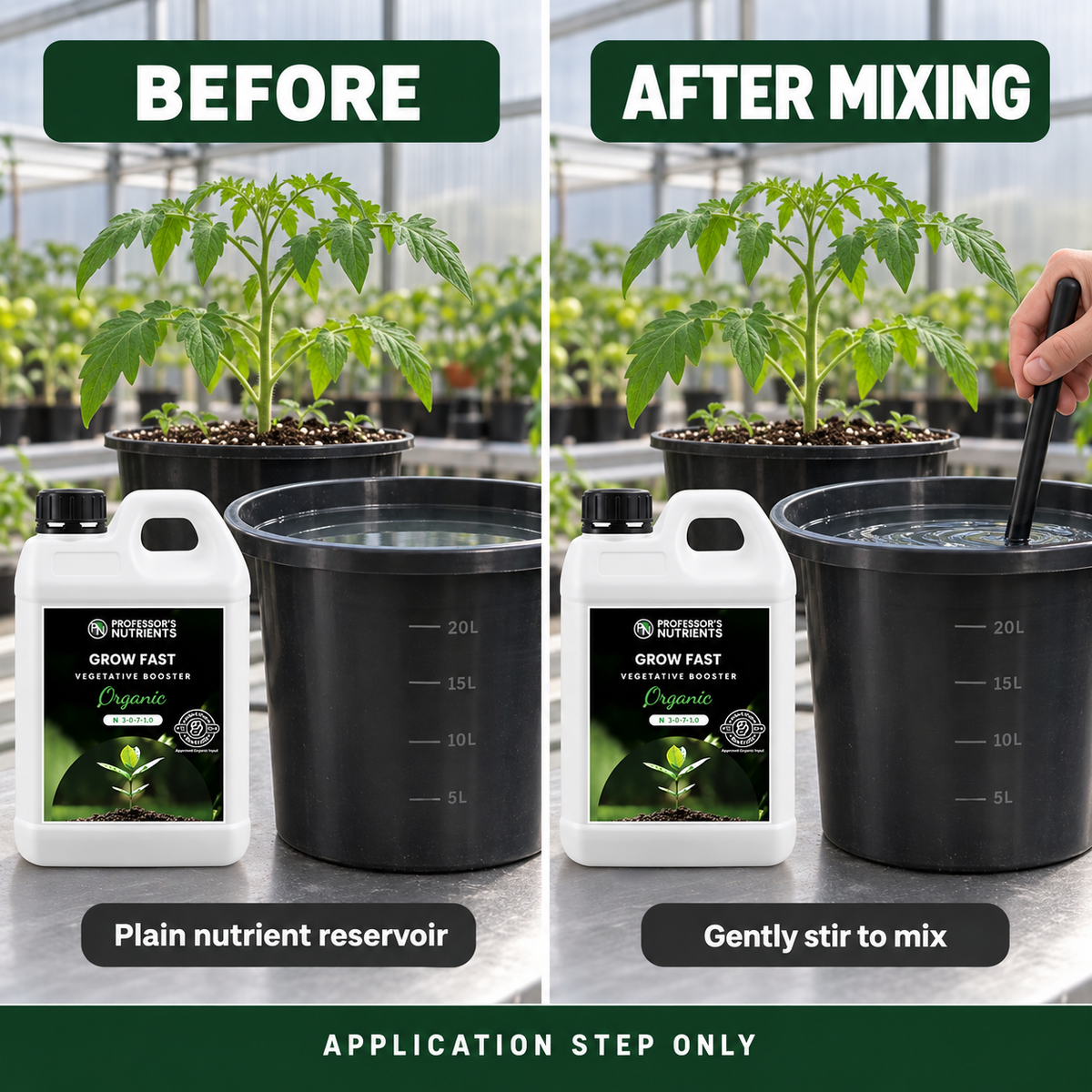Before-and-after application setup showing the same young tomato plant and reservoir before and after PROFESSORS ORGANIC GROW FAST is mixed; application step only.