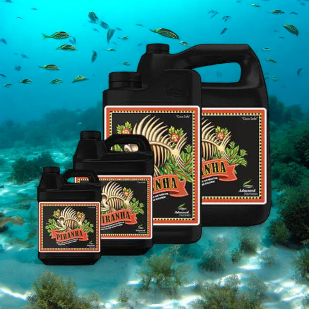 Piranha Advanced Nutrients