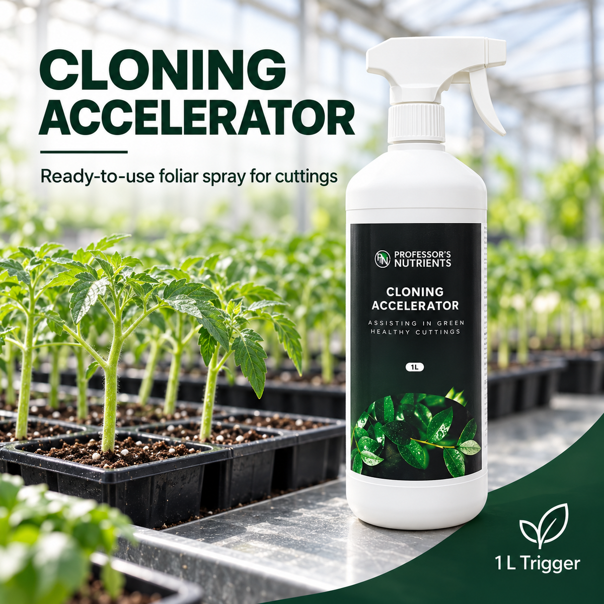General advertisement for Professor's Nutrient Cloning Accelerator 1L showing the white trigger bottle with young tomato cuttings in a propagation greenhouse.