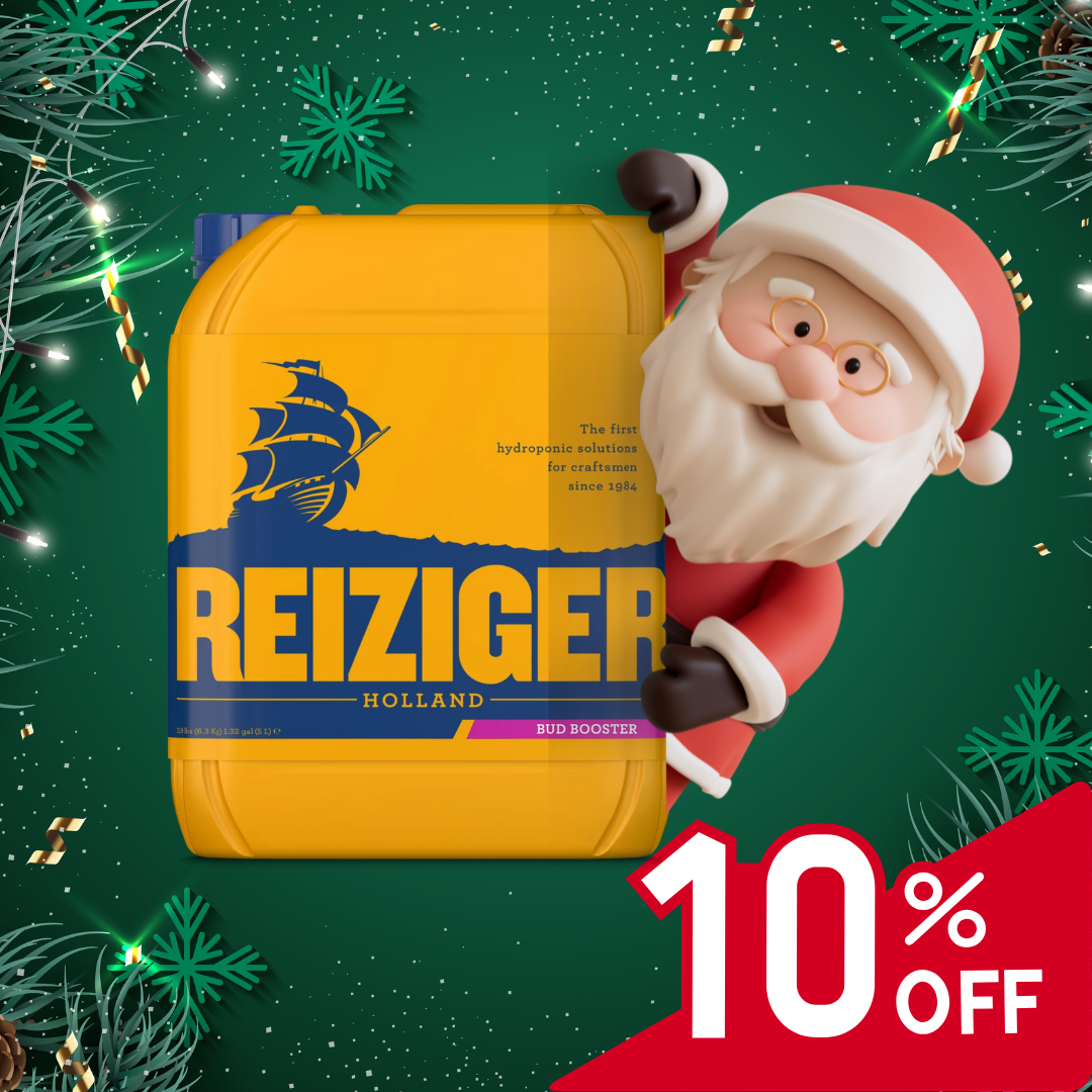 Reiziger Bud Booster 300ML