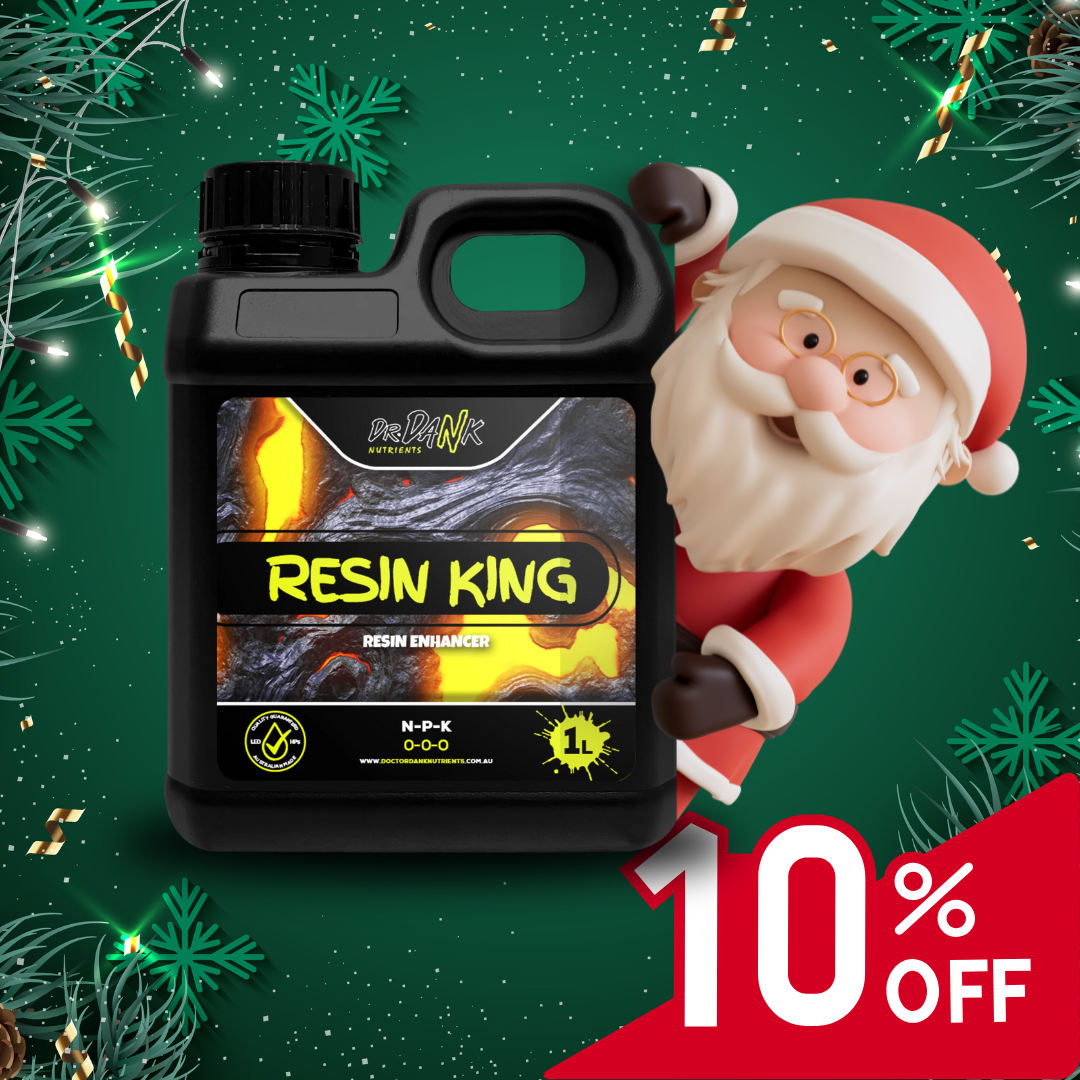 Resin King Resin Enhancer