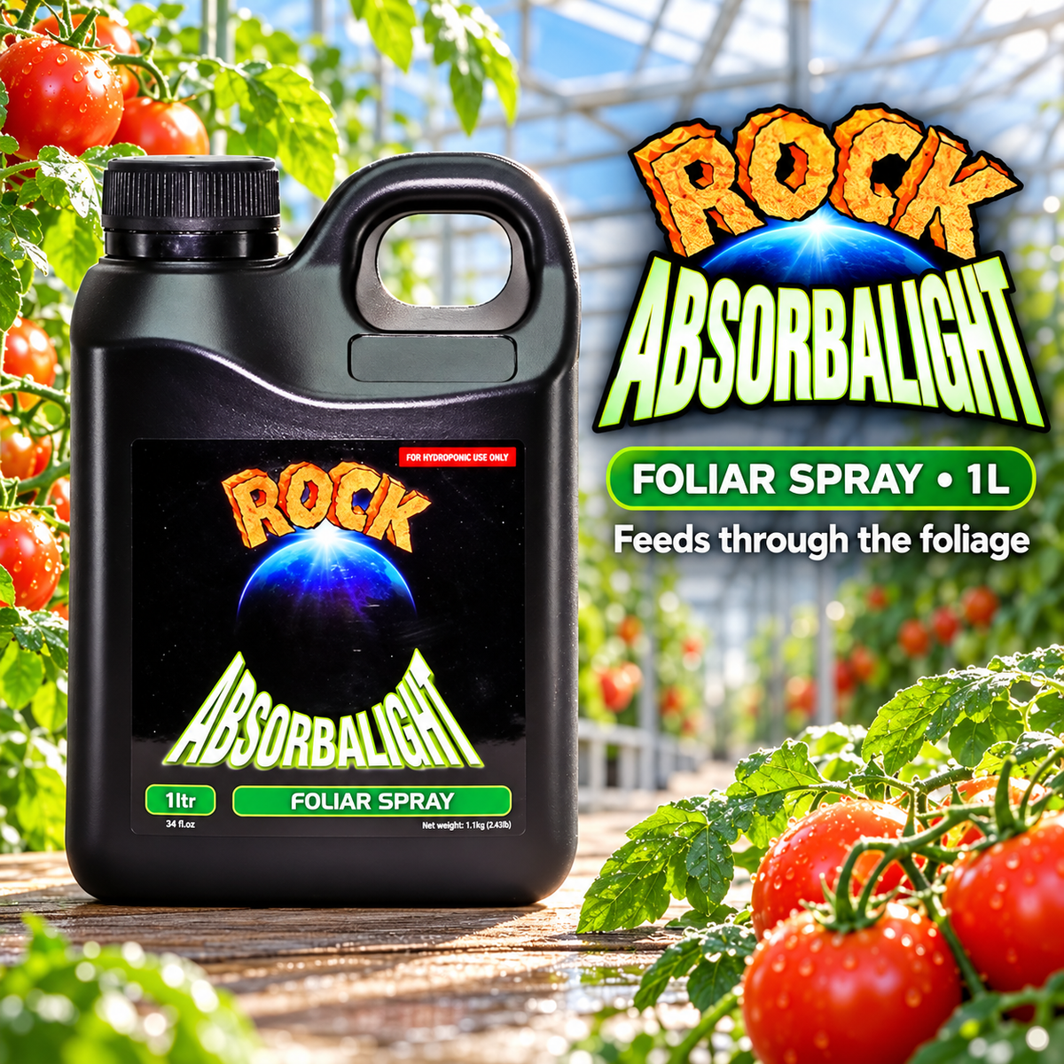 Adult Australian tomato greenhouse grower holding a closed ROCK Absorbalight Foliar Spray 1L jug.