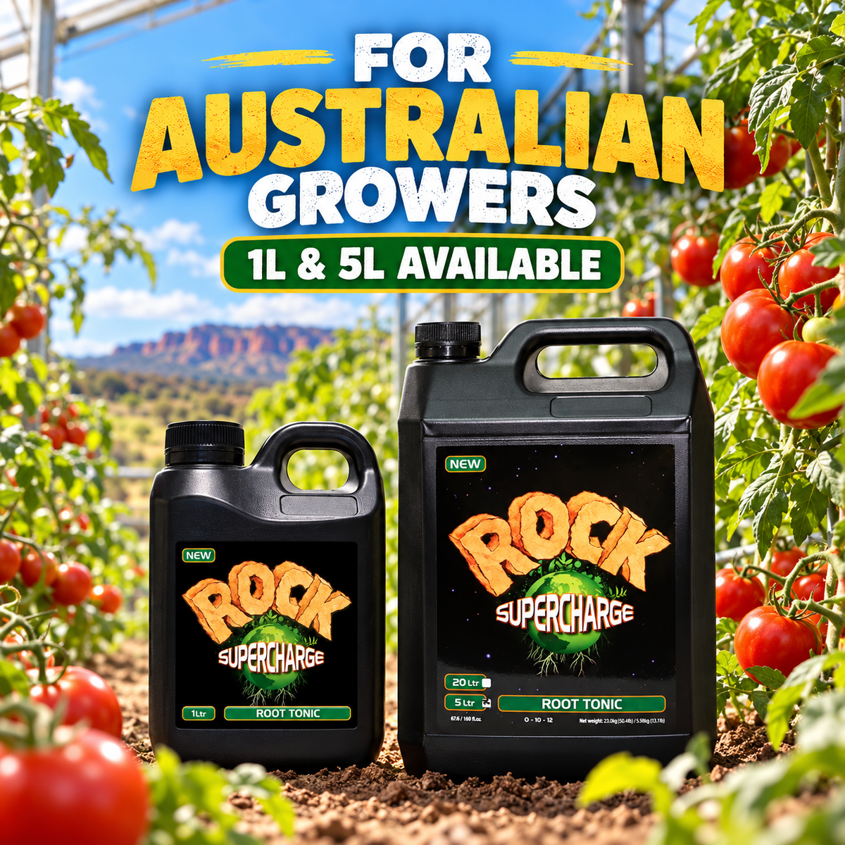 ROCK Supercharge Root Tonic 1L and 5L bottles in an Australian tomato greenhouse