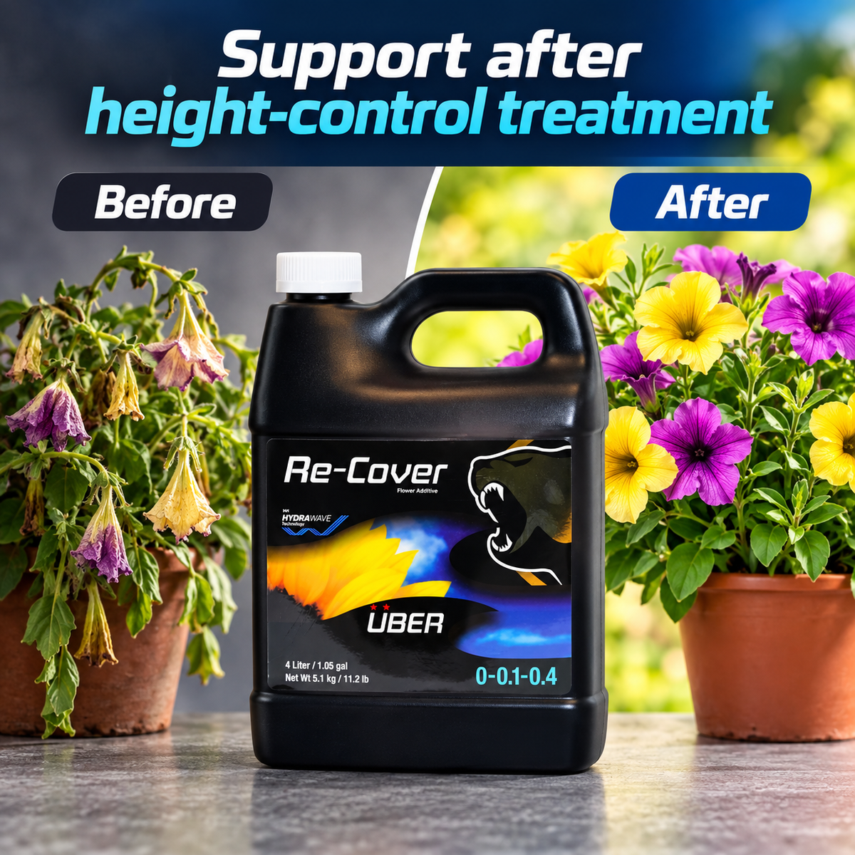 AI-created Uber Recover before-and-after concept with the black Re-Cover bottle and non-cannabis flowering plants.