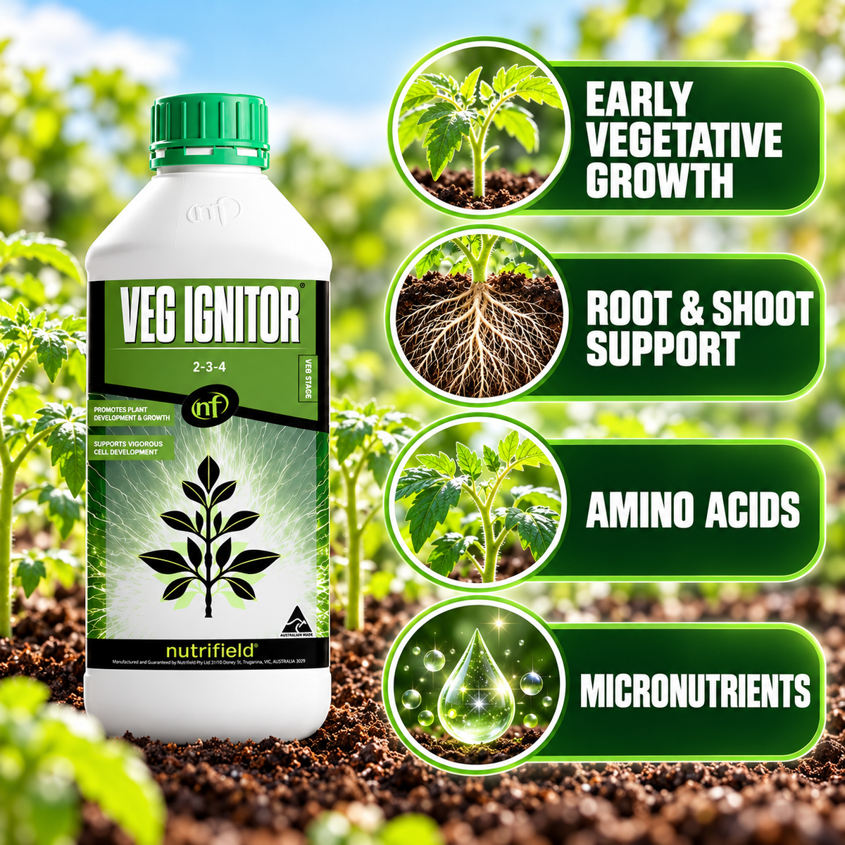 Nutrifield Veg Ignitor benefits infographic showing early vegetative growth, root and shoot support, amino acids and micronutrients.
