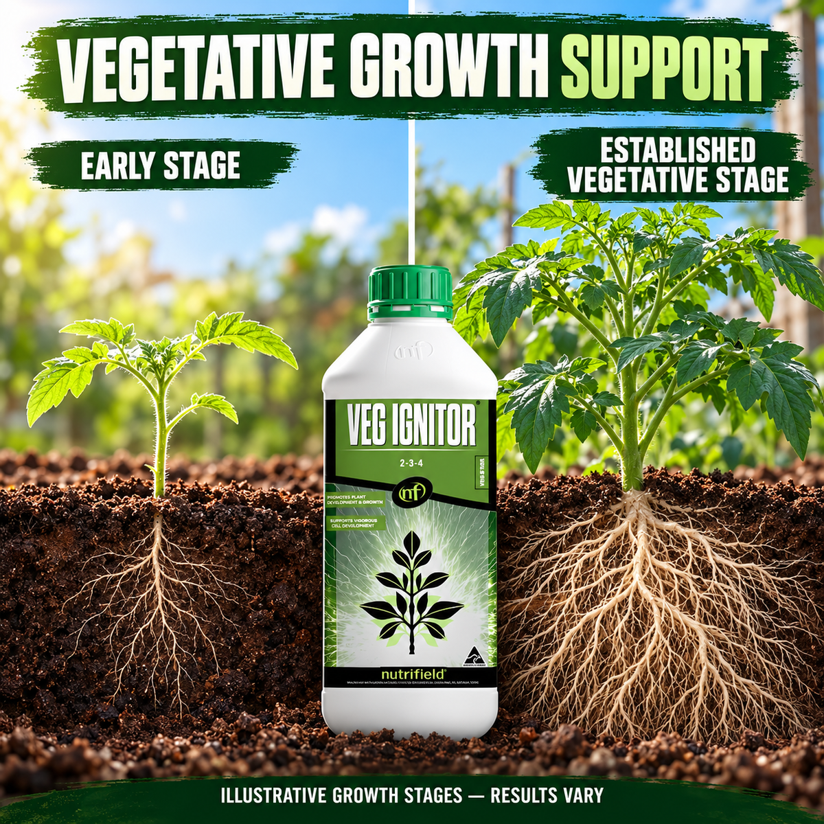 Illustrative early and established tomato vegetative growth stages with Nutrifield Veg Ignitor; results vary.