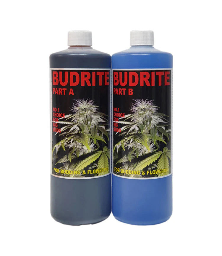 Grow Rite Hydroponic BUDRITE / GROWRITE | TG Hydroponics
