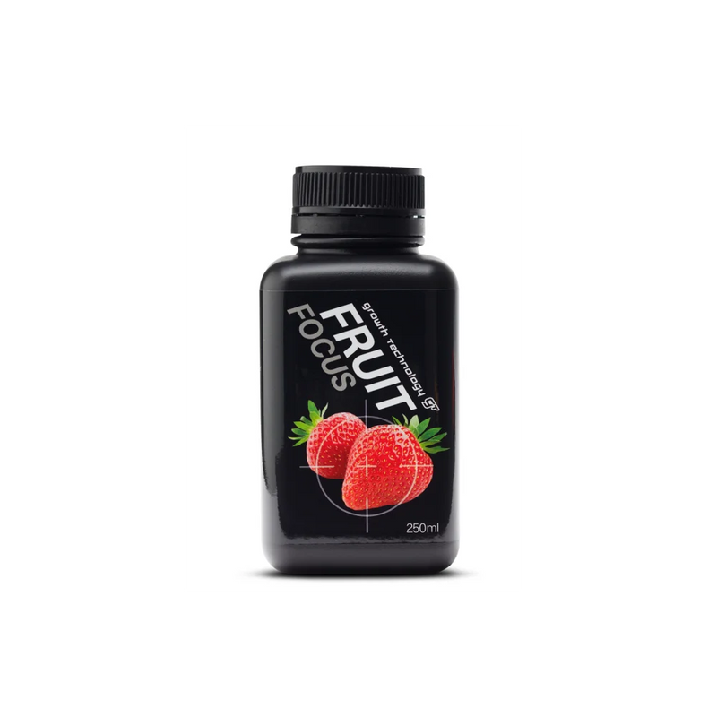 Gt Fruit Focus 250Ml