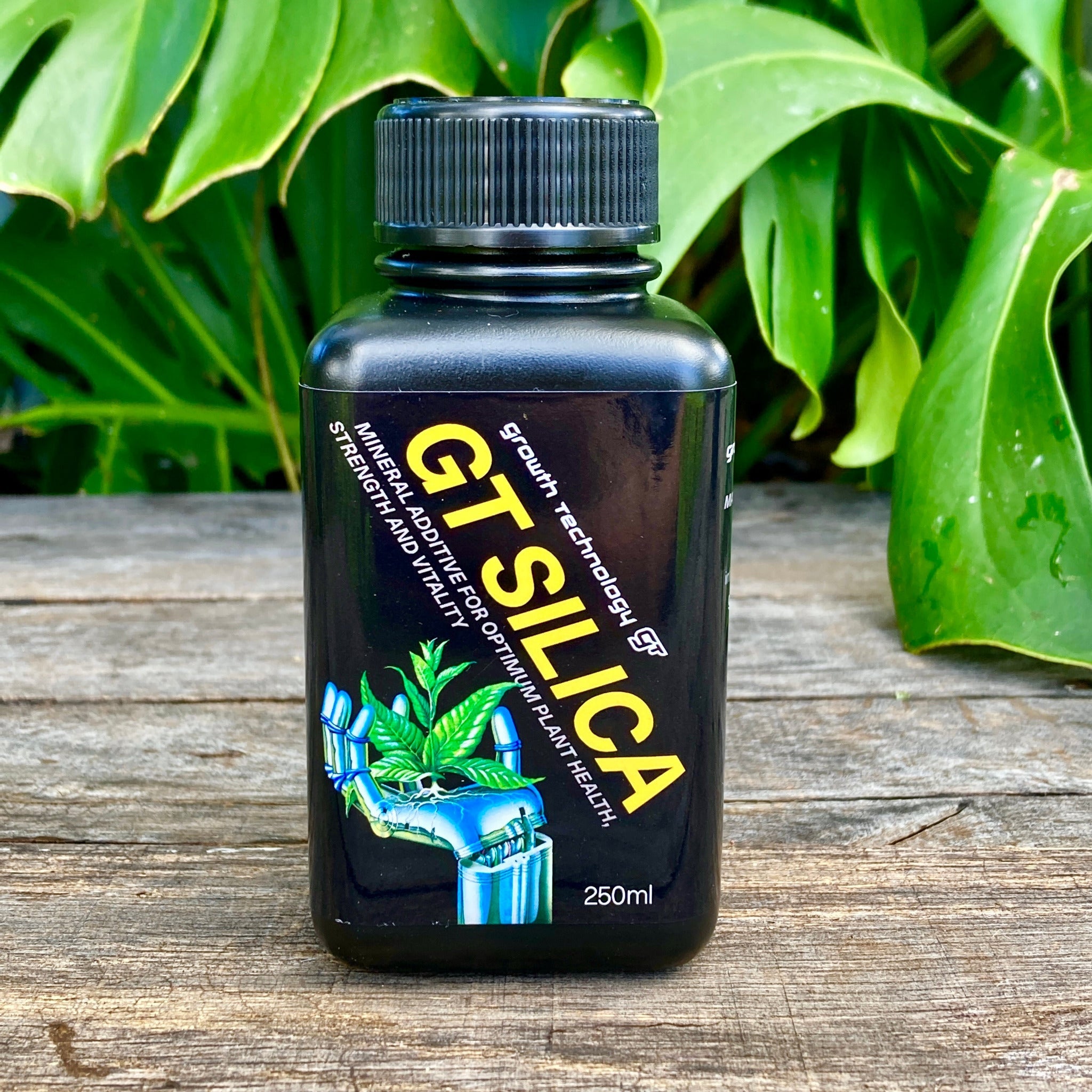 GT Silica