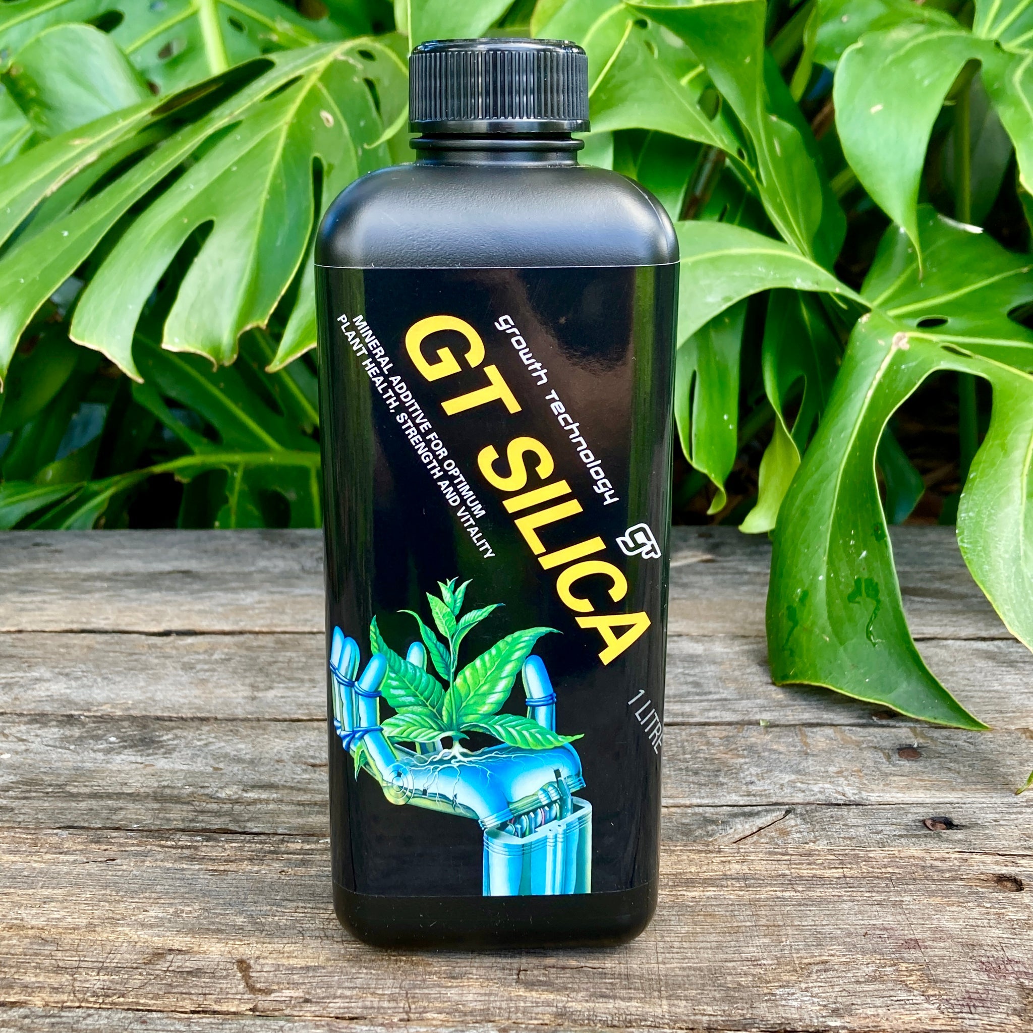 GT Silica