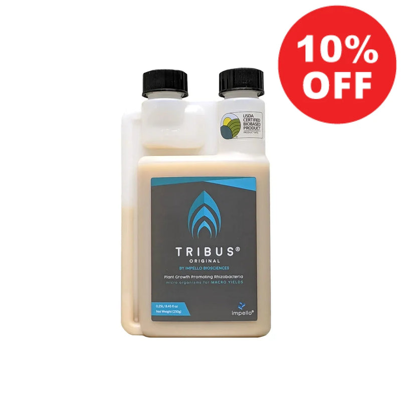 Tribus Original 250Ml